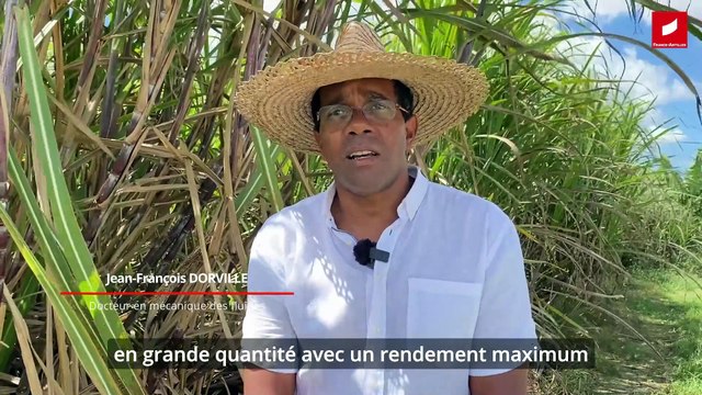 VOLET 1 - La canne et ses coûts de production