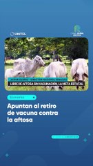 Apuntan al retiro de vacuna contra la aftosa