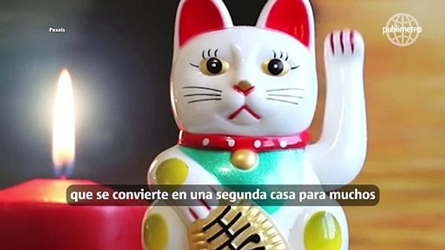 Armoniza y atrae la prosperidad en tu trabajo con 4 reglas básicas del Feng Shui