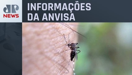 Surto de dengue faz busca por repelentes crescer 400%