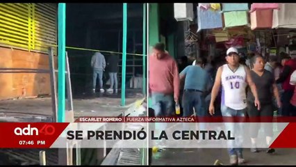 Ratas roban dinero, y ¿por qué no? Un pomo también I C40 en Ciudad Desnuda