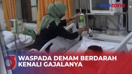 9 Orang Meninggal Akibat Demam Berdarah di Jombang, Kenali Gejalanya