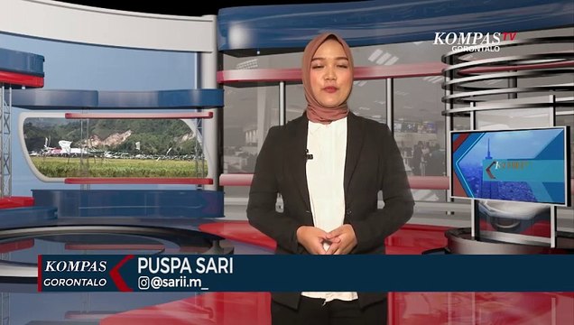 Diserang Hama, Hasil Panen Petani Padi di Gorontalo Turun Drastis