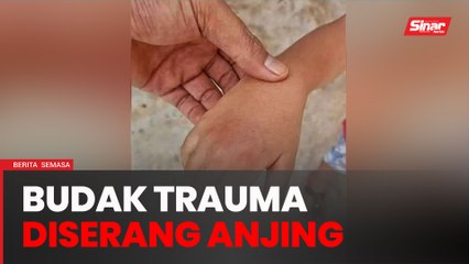 Kanak-kanak cedera, trauma diserang anjing liar