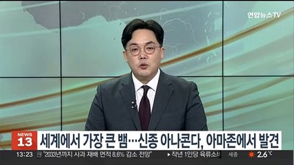 세계에서 가장 큰 뱀…신종 아나콘다, 아마존에서 발견