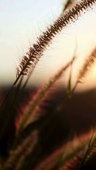 اذكار الصباح كاملة مكتوبة #القرآن_السنة #اذكار #اذكار_الصباح