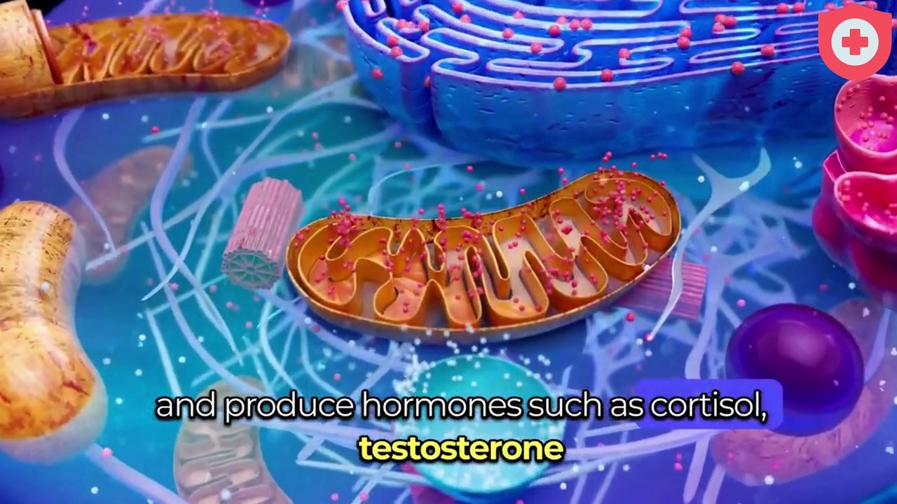 1 BEST Way to Reduce Cholesterol Naturally _ Lower Cholesterol Fast