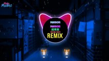 Mirror Mirror 越南鼓 (Dani Remix Tiktok 2024) || Hot Tiktok Douyin DJ抖音版