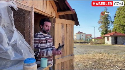 Taklacı güvercin atmacaya rakip oluyor