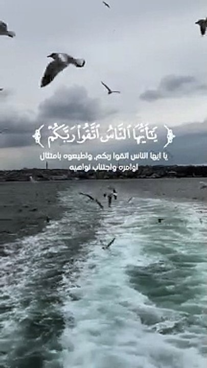 سورة لقمان (33)