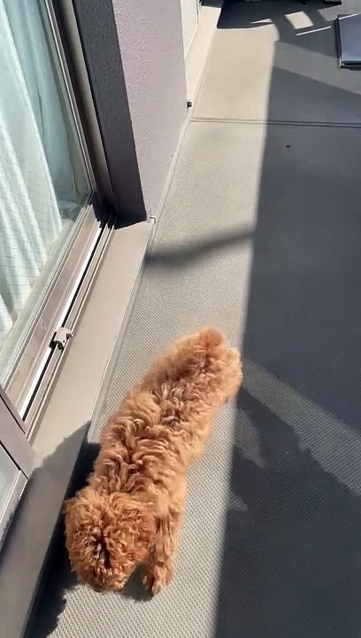 First time outside