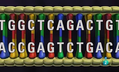 Evolución. La peligrosa idea de Darwin