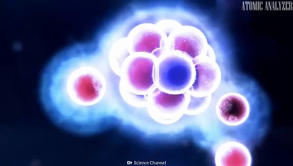 Brief History of Earth