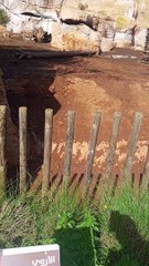 Rencontre Intime avec les Habitants du Zoo de Rabat #Mouflon a manchette #zoo #animal