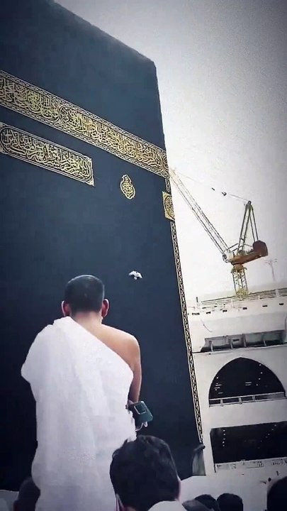 Mashaallah, what a lucky pigeon, may Allah invite us to his home this Ramadan.  I feel like touching the Kaaba, I feel like crying after touching it...