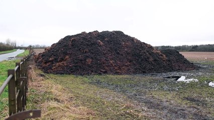 Huge mountain of horse manure sits in a field d off Telegraph Lane, Bridgnorth, ready for the Much Wenlock Young Farmers muck lug event.