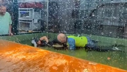 Il saute dans la cage aux crocodiles pour la sauver