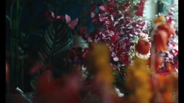 La vie de ma mère Bande-annonce (FR)