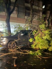 Tempestade derruba árvores e causa danos em Vitória