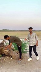 Maine Kabhi Shakal Dekh Ke Dosti Nahin Ki