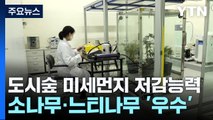 미세먼지 저감 능력 보니 소나무·느티나무 '우수' / YTN