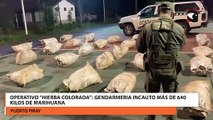 Operativo “hierba colorada”: gendarmería incauto más de 640 kilos de marihuana