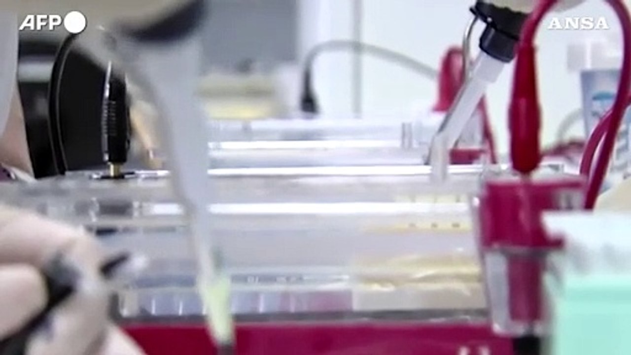 Malattie rare, con i nuovi Lea anche screening per la Sma