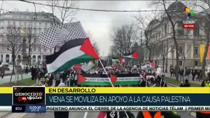 Simpatizantes de la causa palestina recorren calles de Viena