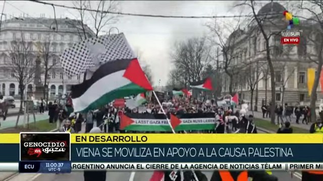 Simpatizantes de la causa palestina recorren calles de Viena