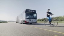 Mercedes Trucks and Buses , All 2024 Safety Systems TESTED