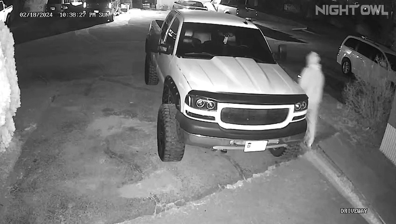 Barking Dog Startles Truck Mechanic