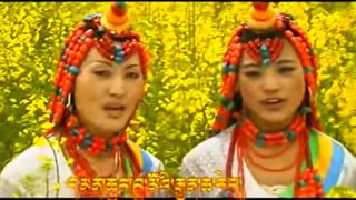 Tibetan Folk Song  Video 3