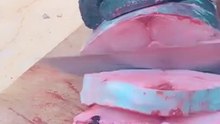 Cutting kingfish into rings in a professional way 2024