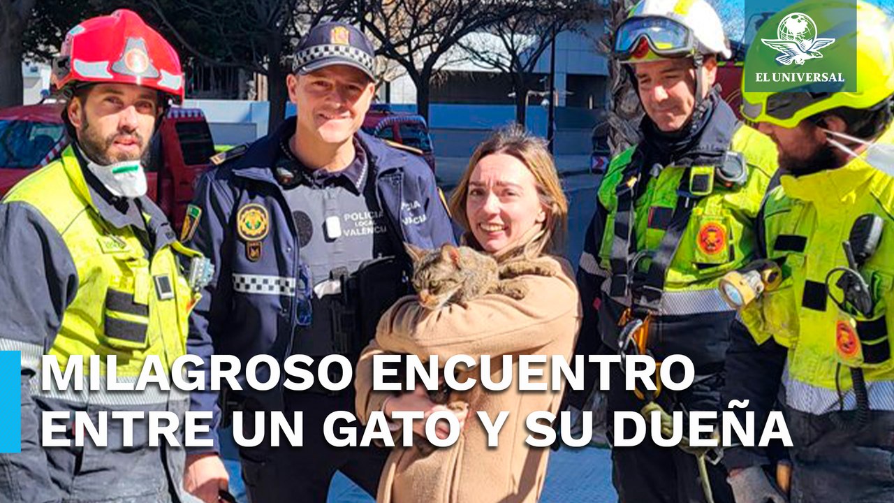 Así fue el emotivo encuentro entre esta mujer y su gato “Coco” tras incendio en España