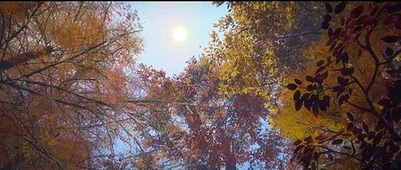 EP78 full version! Xiao Yan mobilized his connections and summoned Su Qian, the elder of Canaan College, to seize the saliva of the Bodhisattva! 【Battle Through the Heavens】