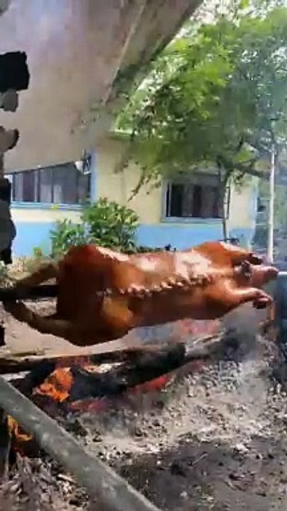lechon