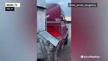 Texas rancher herding cattle across fire-charred landscape