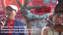 Chinese New Year 2024 1-2 @ Eastwood Plaza, by Eastwood Chinese Senior Citizens Club, Eastwood Plaza, Sydney, 11 Feb 24