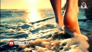 footsteps walking in shallow water  sound effect no copyright