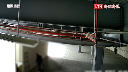 偷走瑞芳地區工地900公尺電纜線 警凌晨埋伏逮人(翻攝畫面)