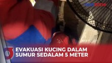 Dramatis! Petugas Damkar Evakuasi Kucing Tercebur ke Dalam Sumur Sedalam 5 Meter