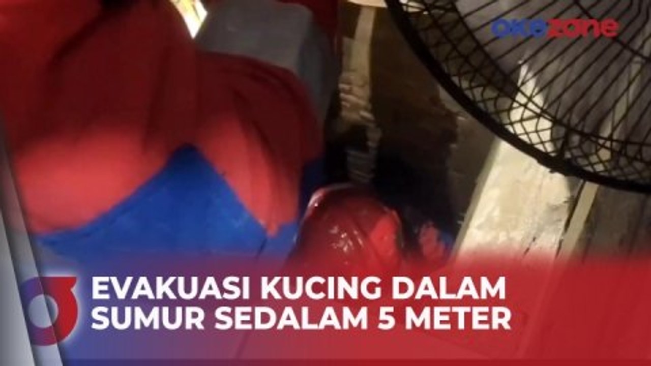 Dramatis! Petugas Damkar Evakuasi Kucing Tercebur ke Dalam Sumur Sedalam 5 Meter