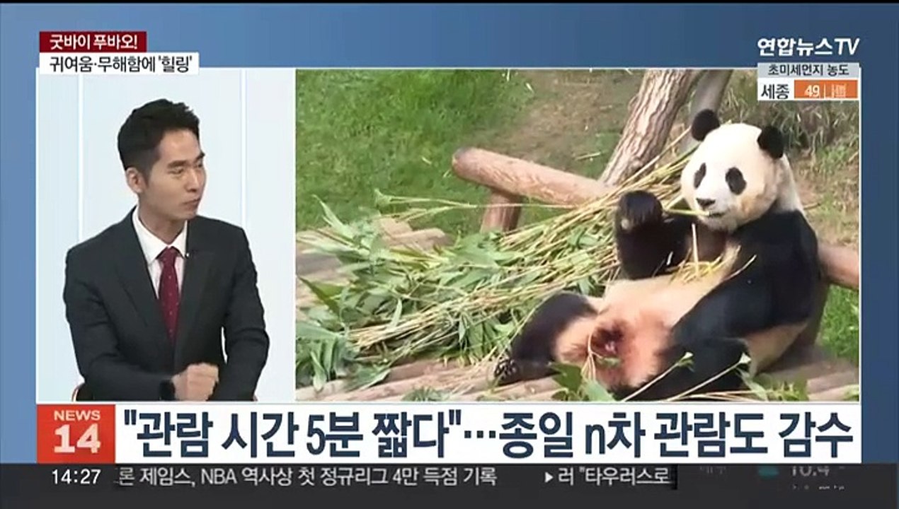 [뉴스초점] "잘가, 푸바오"…판다 신드롬이 남긴 것