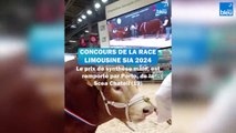Concours de la race limousin SIA 2024