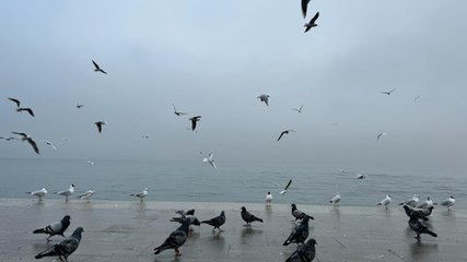 Çanakkale'de sis 4'üncü gününde