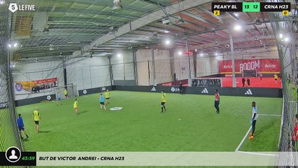 But de victor  andrei - CRNA H23