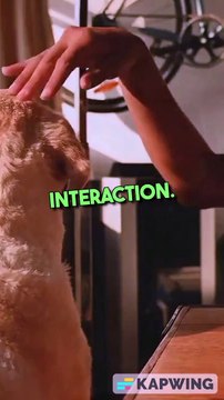 Social Media Unlocking Business Growth!!