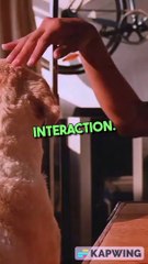 Social Media Unlocking Business Growth!!