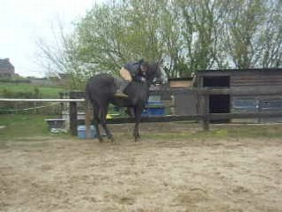 Parquage !!!
