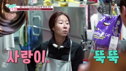 포기하기 직전?! 미카엘 박은희 부부의 끝 없는 임신 고민